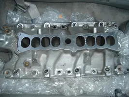 dscf0858.webp