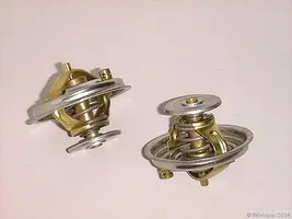 Wahler%20V6%20Thermostat.webp