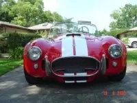 cobra0011tu.th.webp