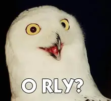 orly1.webp