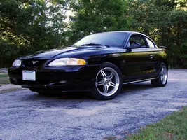 mustang01.webp