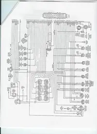 5.webp