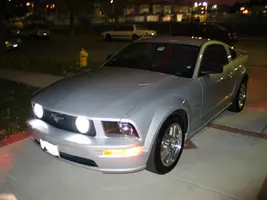 stang101.webp