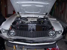 59568418_e72ae8cb65_o.webp