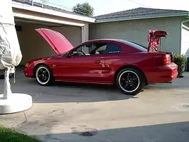 IM000253.webp