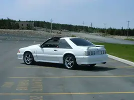 DSCF0536.webp