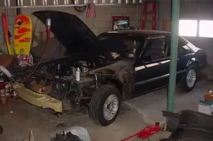 turbostangnoseless.webp