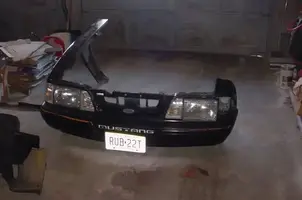 turbostangnose.webp