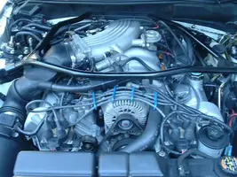 underhood.webp