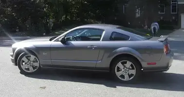 mustang006c.webp