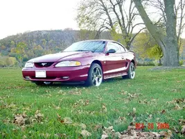 60_DSC01382.webp