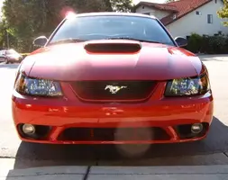 cobra1.webp
