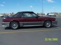 10010391xa.th.webp