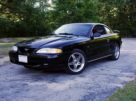 mustang02.webp