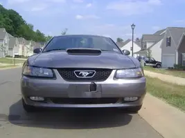 HoleinBumper.webp