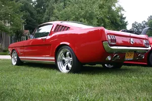 backside15dv.webp
