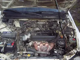000_0088.webp