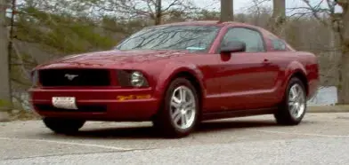 Stang1.webp