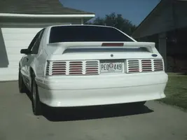 Picture003.webp