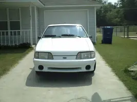 Picture006.webp