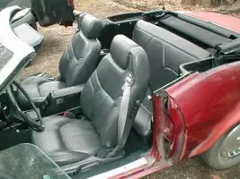 stanginterior5.webp