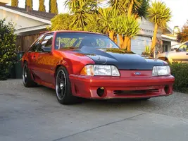 IMG_0172_1.webp