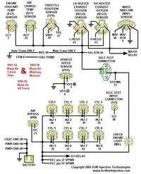95mainharness.webp