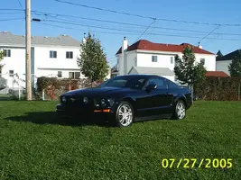 mustangparc1.webp