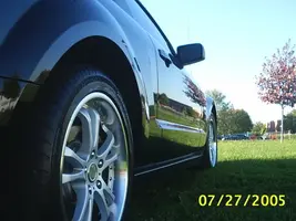 mustangparc6.webp