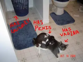 DanteHumpingPickleslabelled.webp