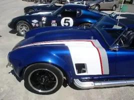 HOTRODstripedFFRCobra.webp