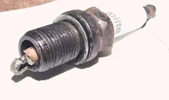 4plug.webp