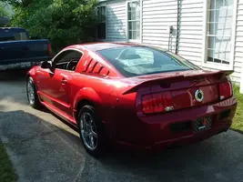Picture-003.webp
