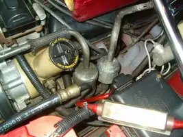 HPIM1969.webp