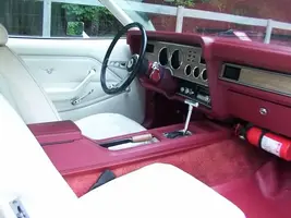 Mustangclean002.webp