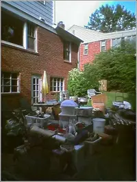 pic1.webp