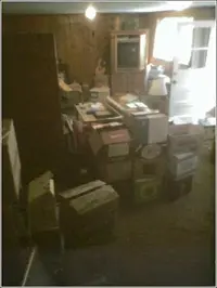 pic5.webp