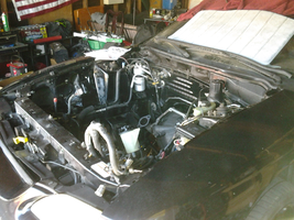 Mustang engine bay.webp Mustang engine bay.webp