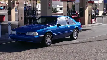 mustang day 1.webp
