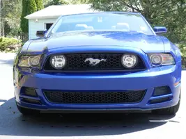 New Mustang 007.webp