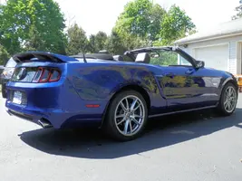 New Mustang 009.webp