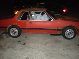 mustang 004.webp
