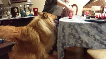 20140128_185415.webp