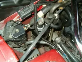 HPIM1968.webp