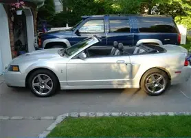 cobrastang.webp