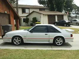 mustangside.webp