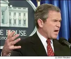 bush1.webp