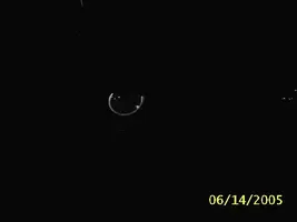 7db9aa32.webp