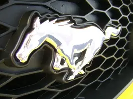 pony2.webp