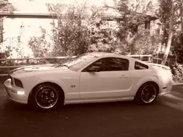 pony8.webp